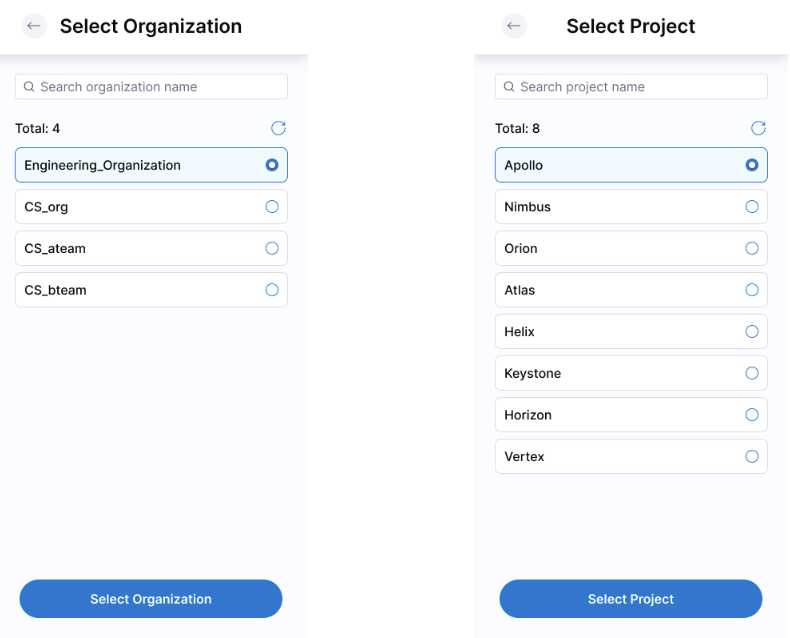 Organization and Project Selection